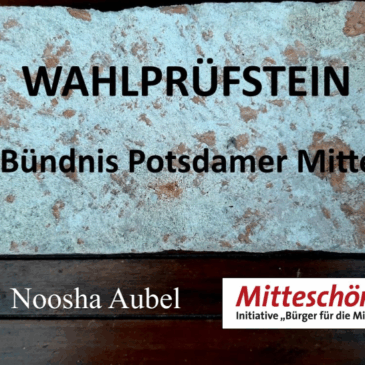 Wahlprüfsteine Noosha Aubel